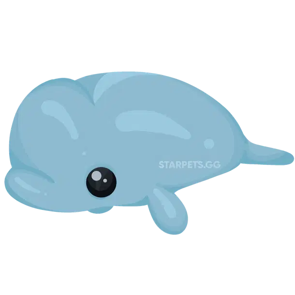 Beluga Whale — standard appearance