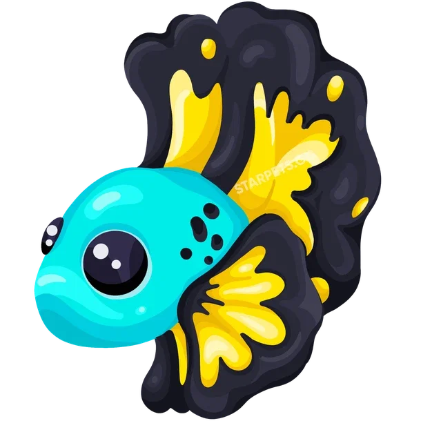 Blue Betta Fish — standard appearance