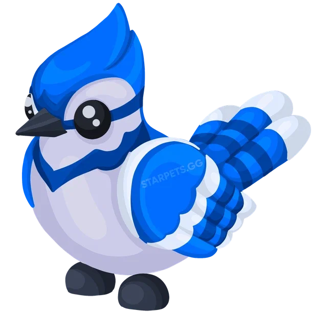 Blue Jay — standard appearance