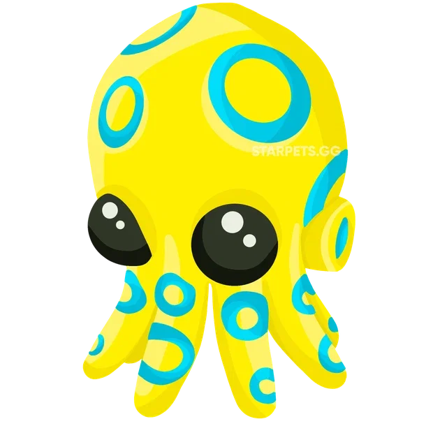 Blue Ringed Octopus — standard appearance