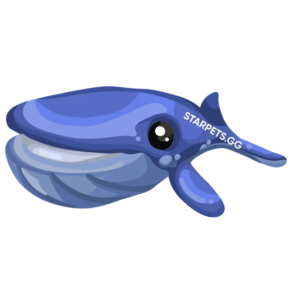 Blue Whale — standard appearance