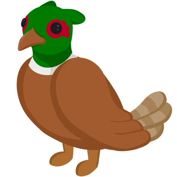 Brown-Chested Pheasant — standard appearance