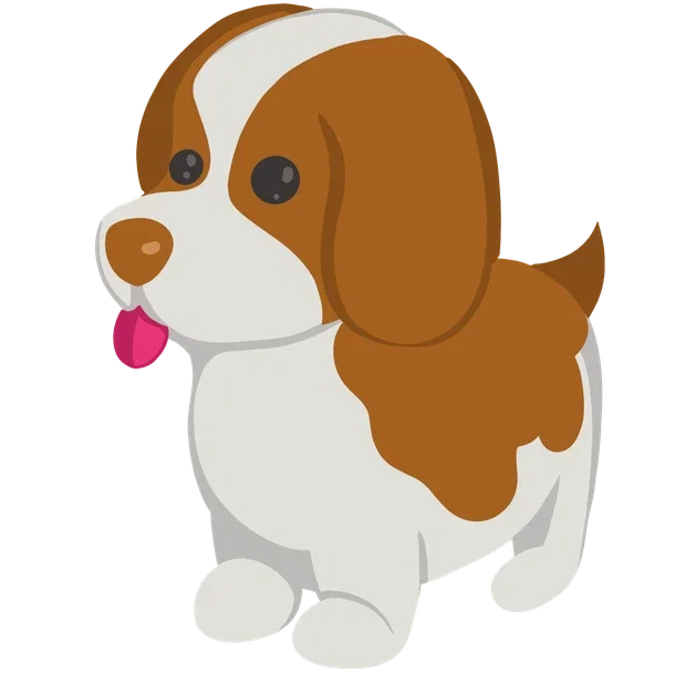 Brown Springer Spaniel — standard appearance