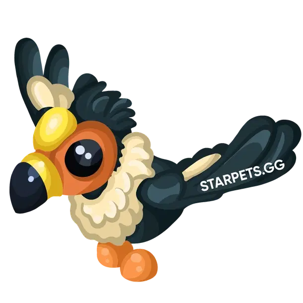 California Condor — standard appearance