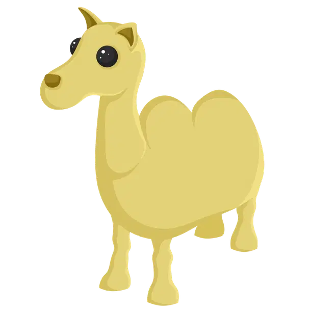 Camel — standard appearance