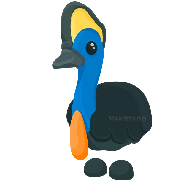 Cassowary — standard appearance