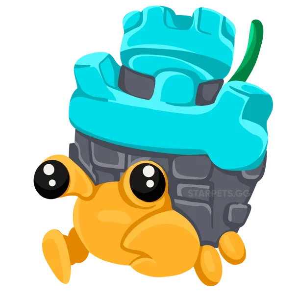 Castle Hermit Crab — standard appearance