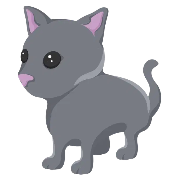 Cat — standard appearance