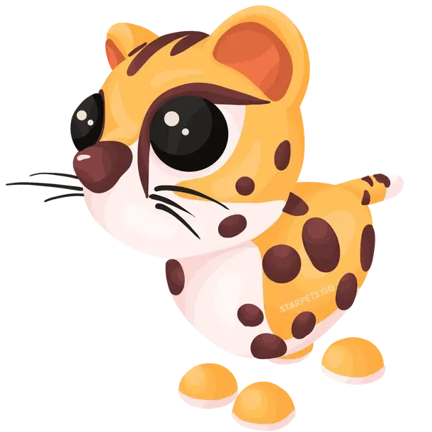 Cheetah — standard appearance