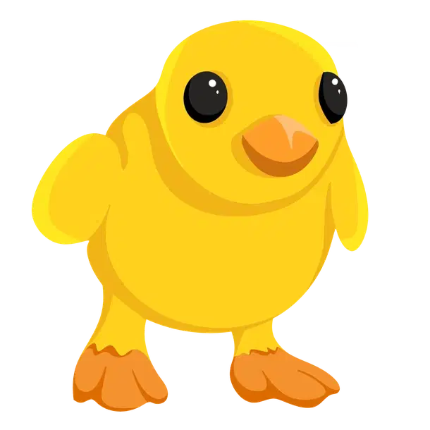 Chick — standard appearance