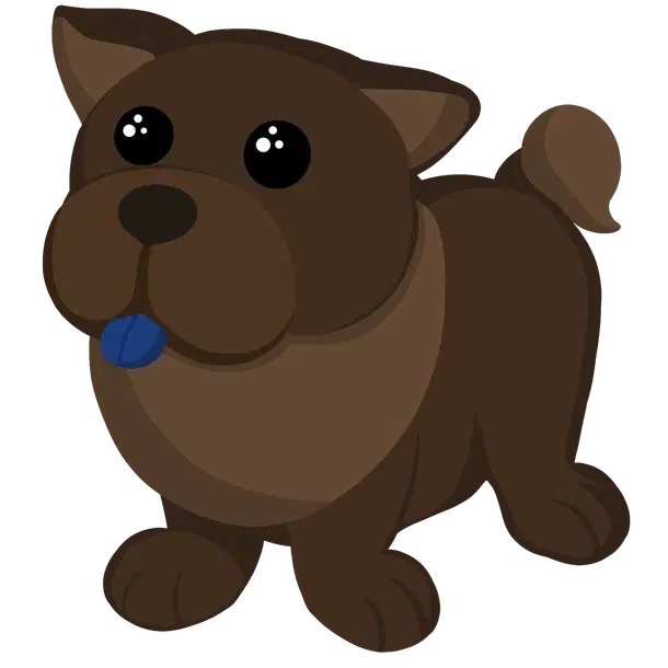 Chocolate Chow-Chow — standard appearance
