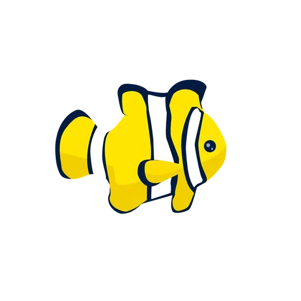 Clownfish — standard appearance