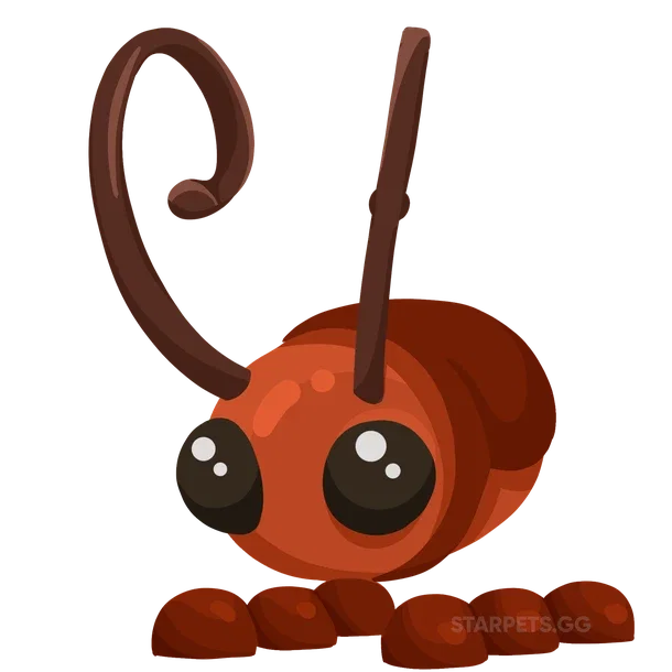 Cockroach — standard appearance