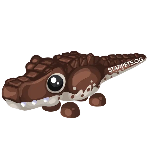 Cocoadile — standard appearance