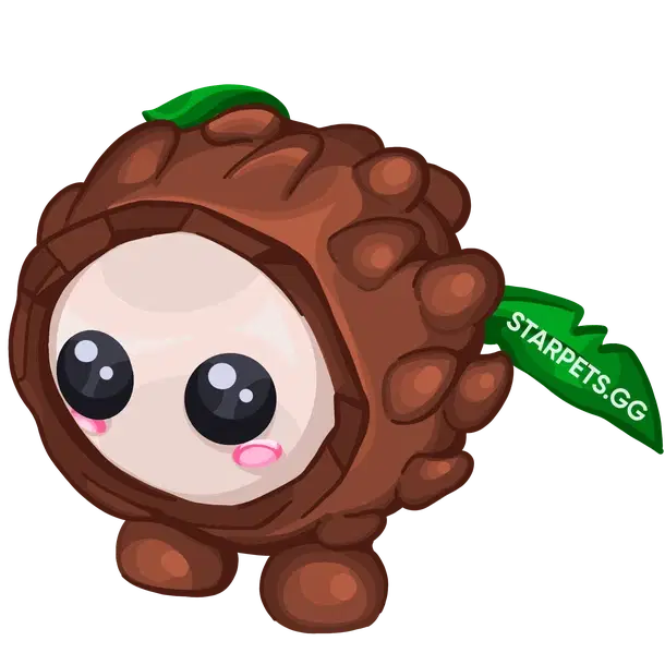 Coconut Friend — standard appearance