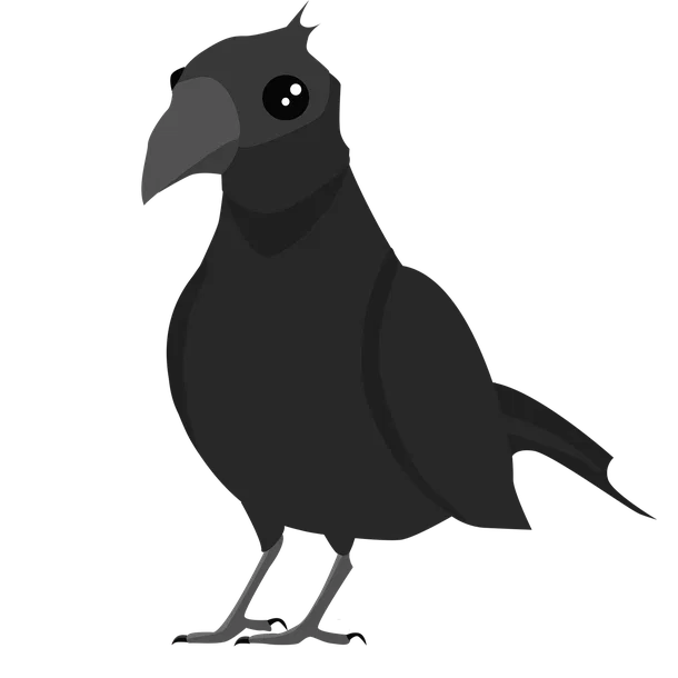Crow — standard appearance
