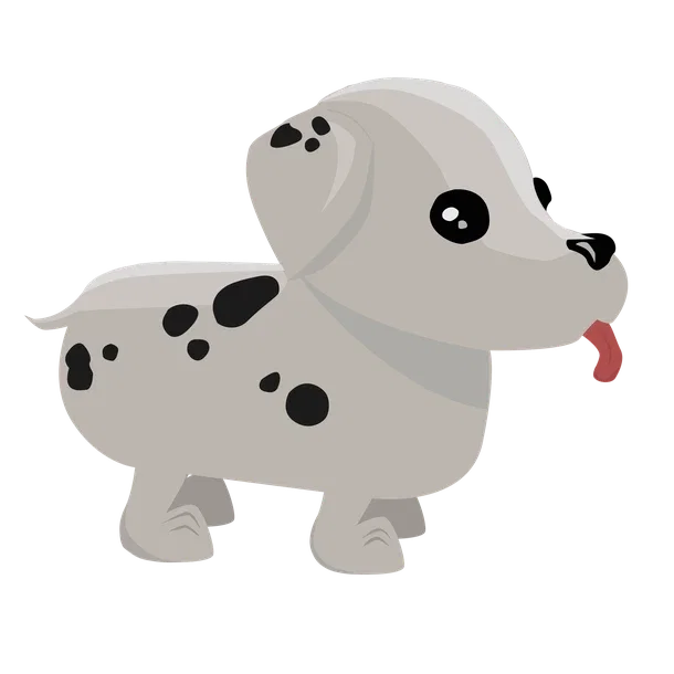 Dalmatian — standard appearance