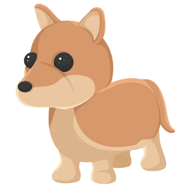 Dingo — standard appearance