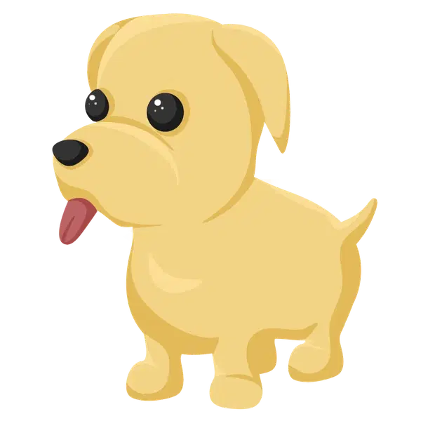 Dog — standard appearance