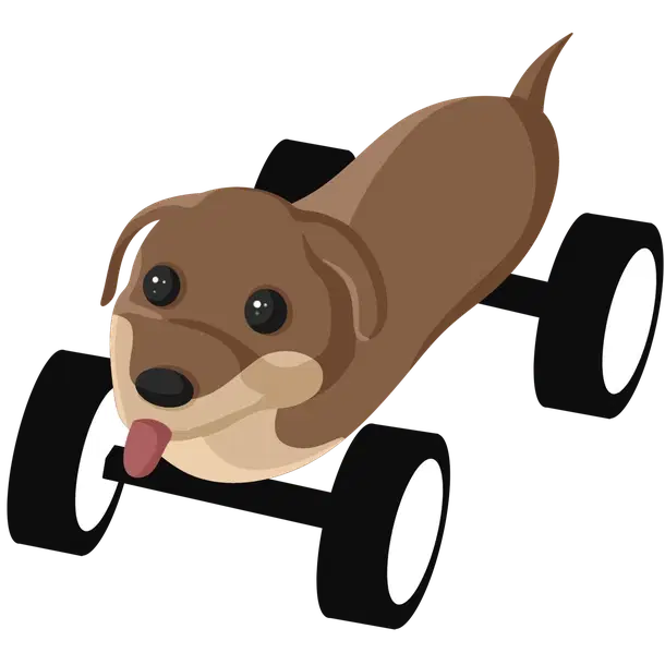 Dogmobile — standard appearance