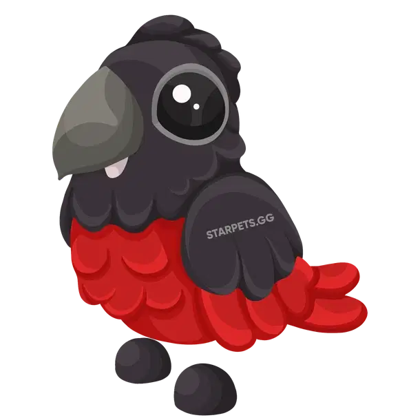 Dracula Parrot — standard appearance