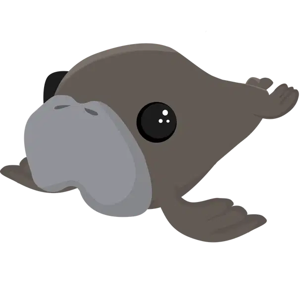 Dugong — standard appearance
