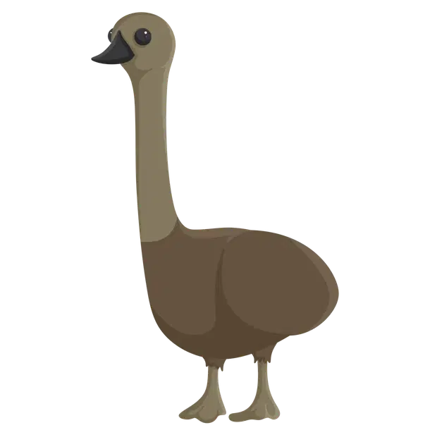Emu — standard appearance