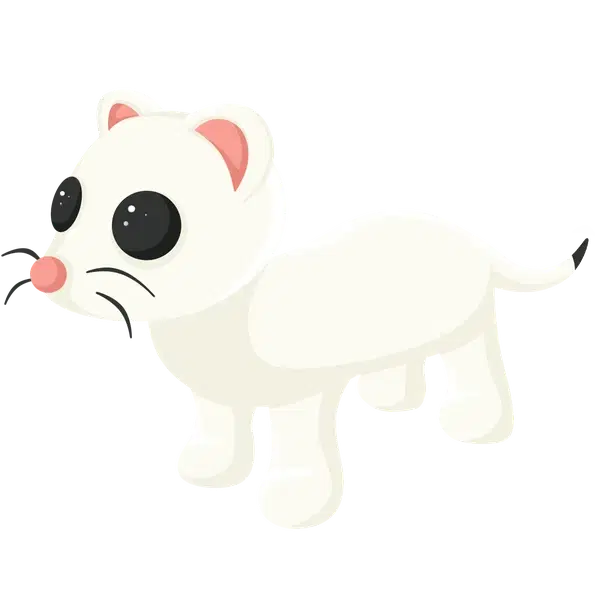 Ermine — standard appearance