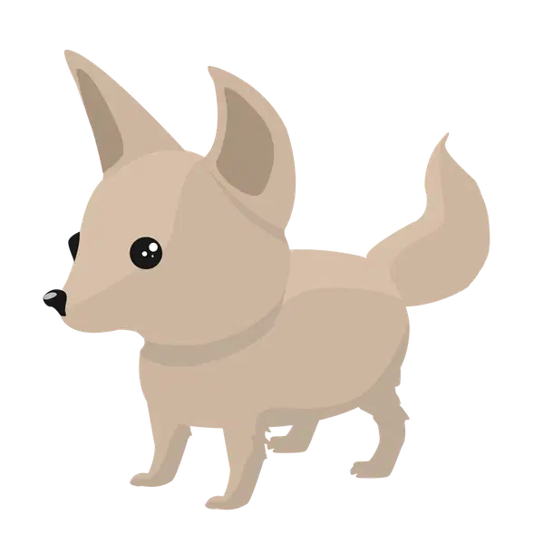 Fennec Fox — standard appearance