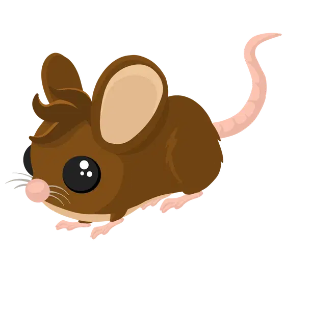 Field Mouse — standard appearance