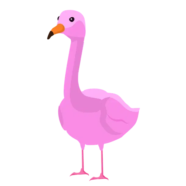 Flamingo — standard appearance