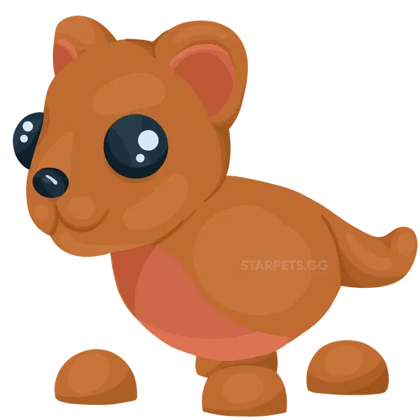 Fossa — standard appearance