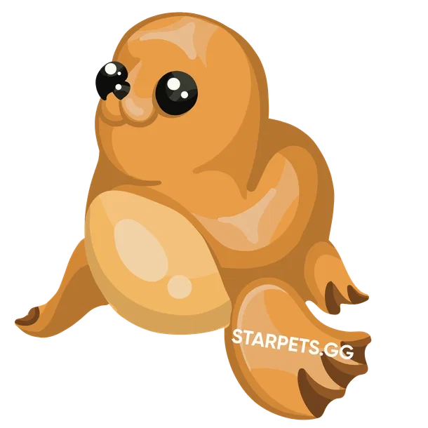 Galapagos Sea Lion — standard appearance