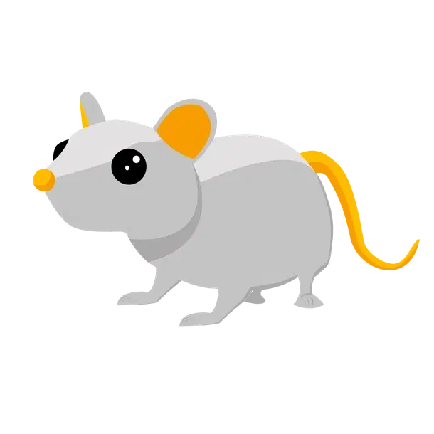 Golden Rat — standard appearance