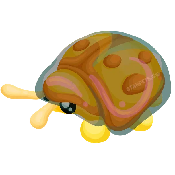 Golden Tortoise Beetle — standard appearance