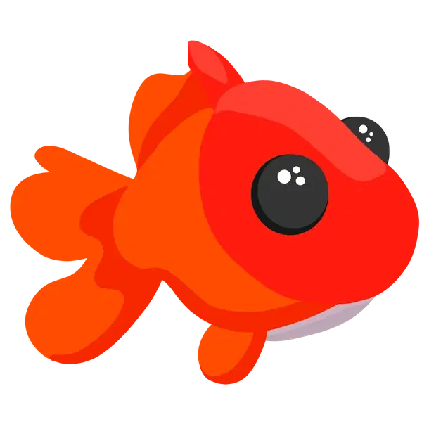 Goldfish — standard appearance