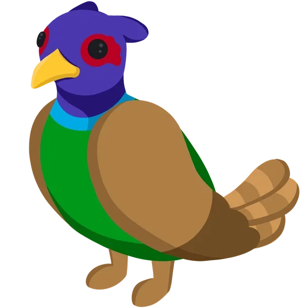 Green-Chested Pheasant — standard appearance