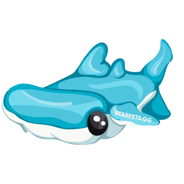 Hammerhead Shark — standard appearance