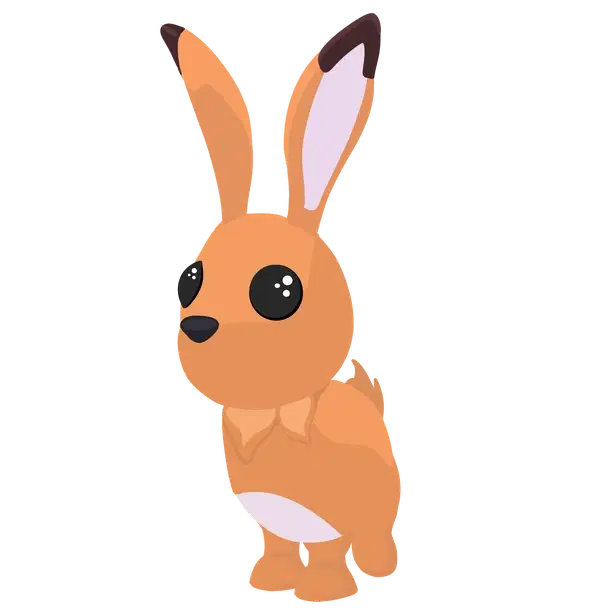Hare — standard appearance