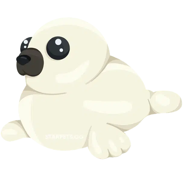 Harp Seal — standard appearance