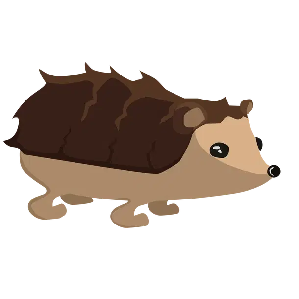 Hedgehog — standard appearance