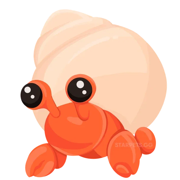 Hermit Crab — standard appearance