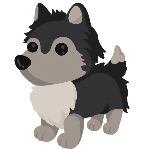 Husky — standard appearance