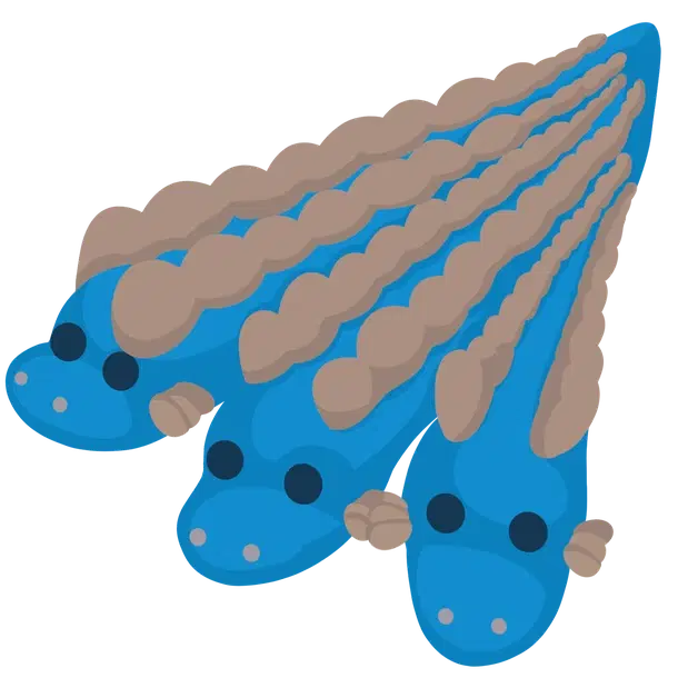 Hydra — standard appearance