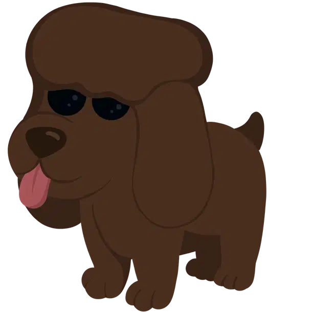 Irish Water Spaniel — standard appearance