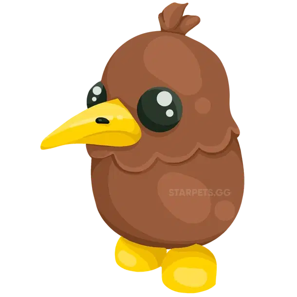 Kiwi — standard appearance