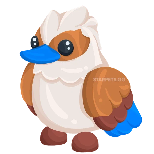 Kookaburra — standard appearance