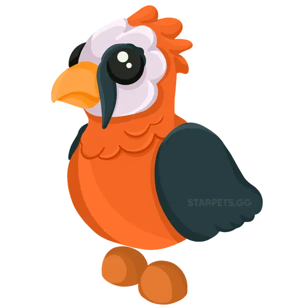 Lammergeier — standard appearance