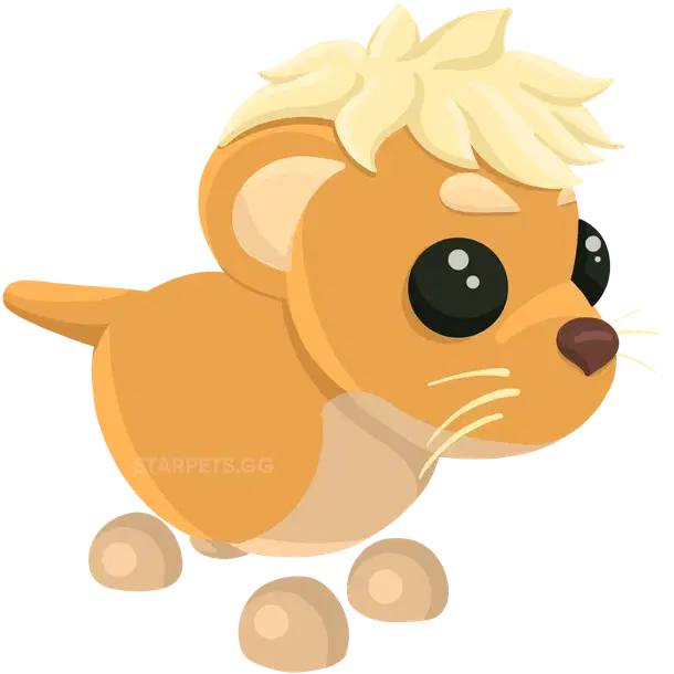 Lion Cub — standard appearance