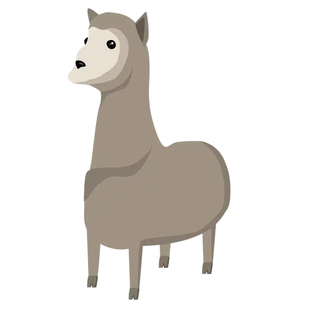 Llama — standard appearance